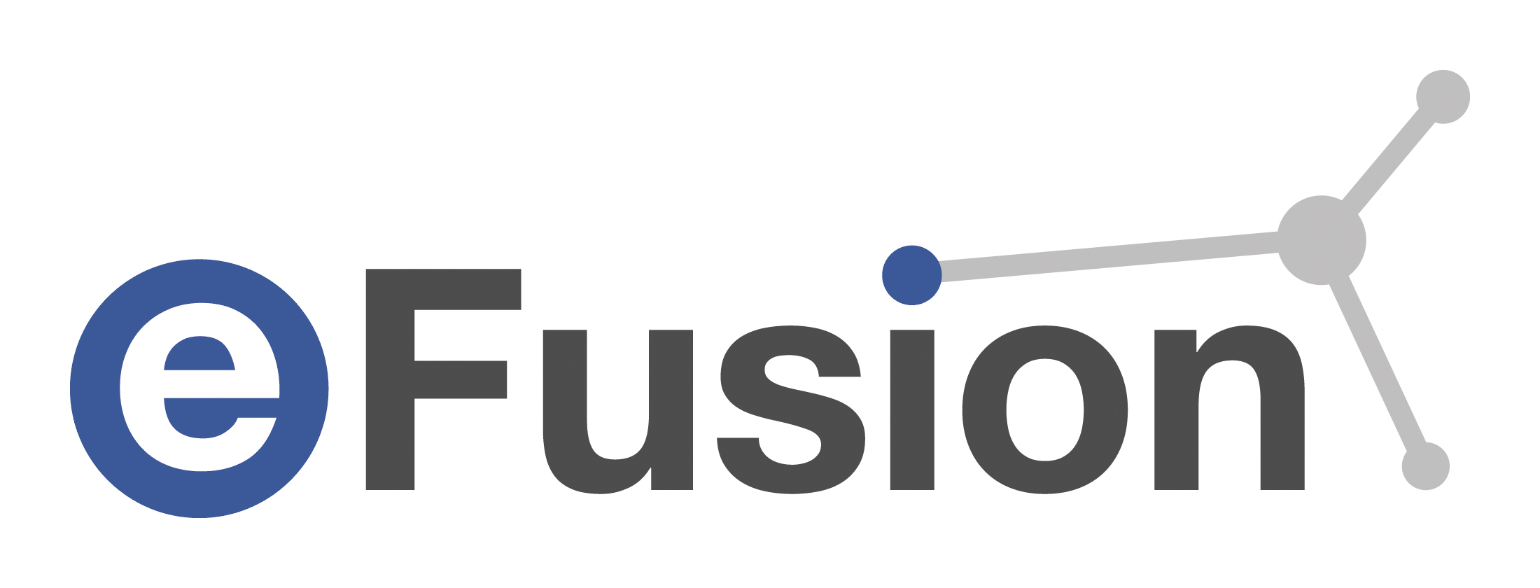 Maxxess eFusion security software logo